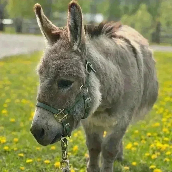 MAKE A  BUNDLE - Picture 1 of 1